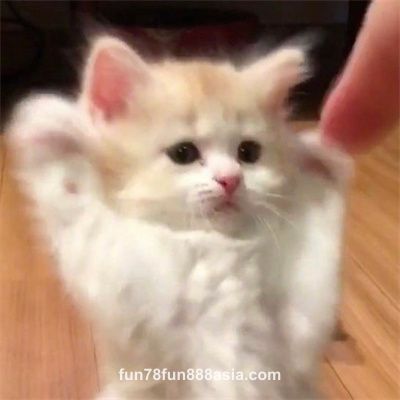 Ảnh đại diện của Văn Phúc