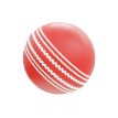 Cricket Ball
